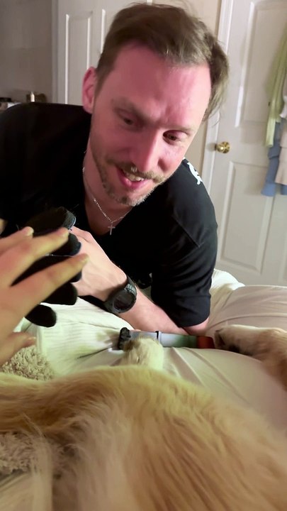 Rescue Dog Purrs While Getting Brushed