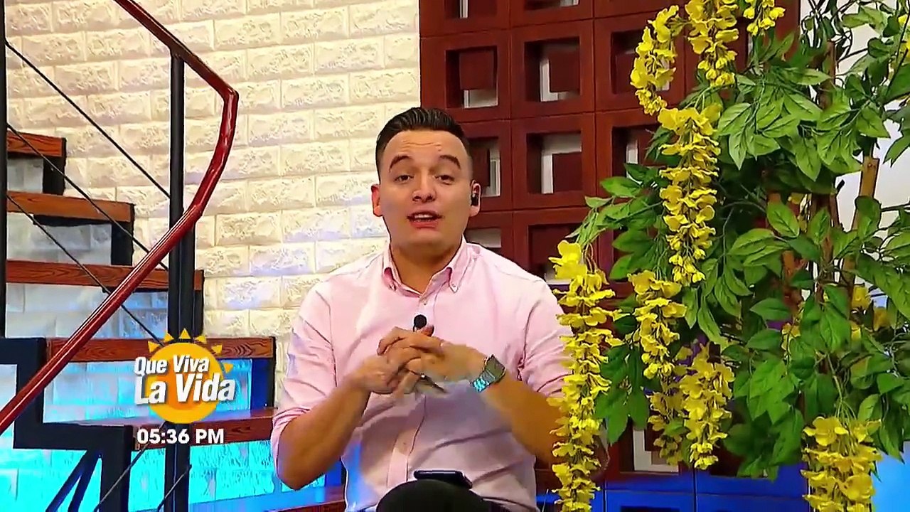 Transmisión en Vivo (3375)
