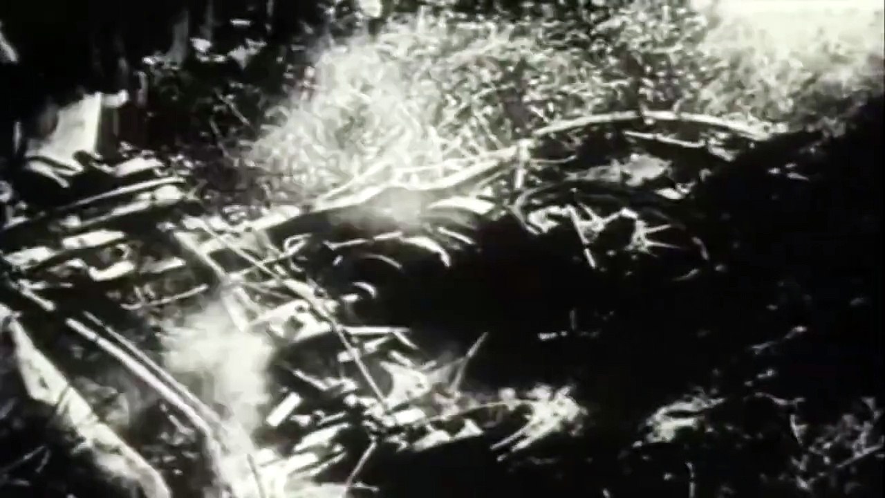 Maurice Fournier & Georges Louvel's Fatal Crash @ Le Mans 1911 (Aftermath)