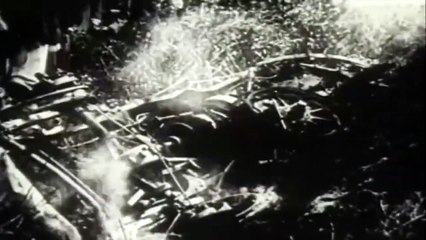 Maurice Fournier & Georges Louvel's Fatal Crash @ Le Mans 1911 (Aftermath)