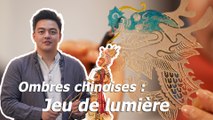 L'Art des Ombres Chinoises : Jeu de Lumière