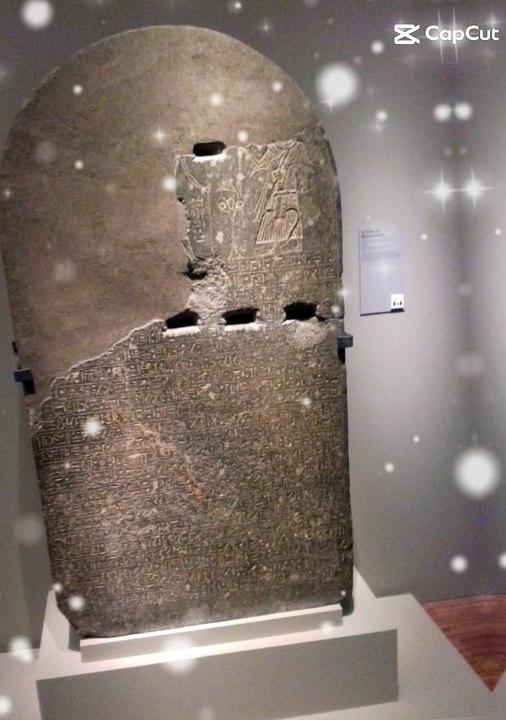 Le Musée de Grenoble est un musée municipal des beaux-arts et des antiquités de Grenoble #france  (10)