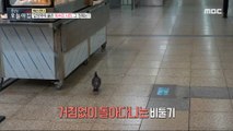 [HOT] The picture of the eagle at Hapjeong Station?!,생방송 오늘 아침 240208