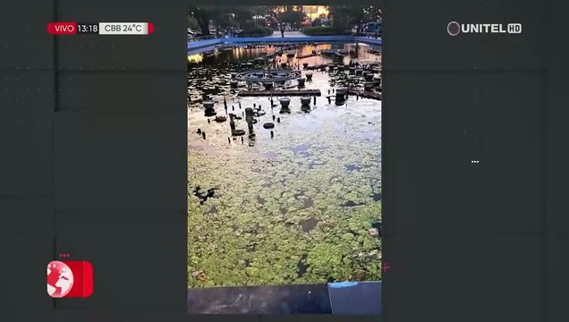 Santa Cruz: Vecinos piden limpieza de fuente de agua que se ha vuelto un criadero de mosquitos en el Parque Aeronáutico
