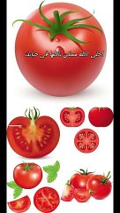 احلى اكله ممكن تاكلها ياجدع