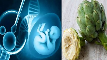 हाथी चक सब्जी खाने के फायदे | Hathi Chak Sabji Khane Ke Fayde | Boldsky