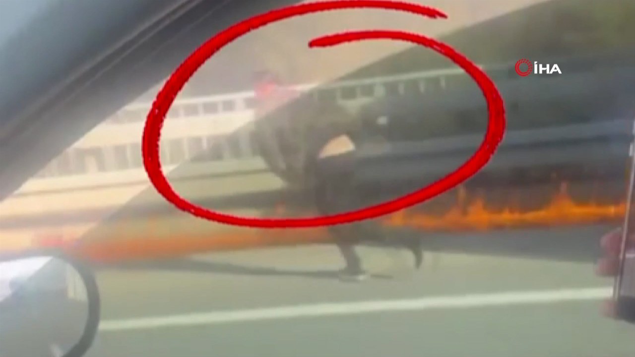 Otobanda kaza yapan TIR alevlere teslim oldu! Şoför ölümden böyle kurtuldu