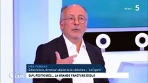 Les propos d'un journaliste du Figaro sur France 5, affirmant que 