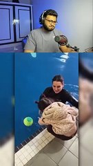 إذا ضحكت تخسر---- الواد راح فيها