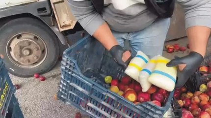 Elma yüklü kamyondan 40 milyon liralık uyuşturu çıktı