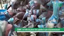 [#Reportage] CEMAC: un trafic de pièces fait craindre le pire à la communauté
