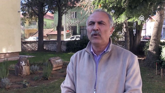Uşak'ta yol yapımı sırasında bulundu, koruma altına alındı: Tam 16 milyon yıllık!