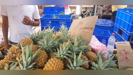 vacances à la Réunion