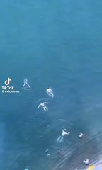 Voici ma nouvelle vidéo