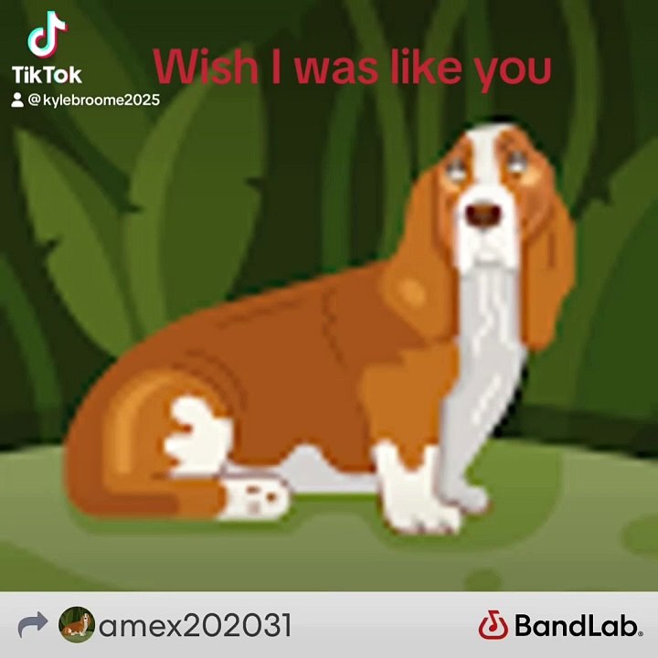 Wish I was like You