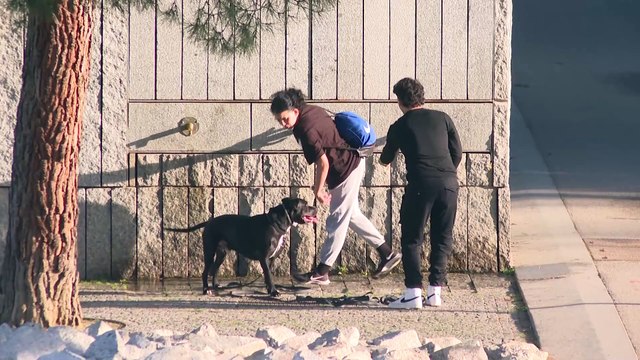 Enero récord de calor mundial, 1,66 grados sobre nivel preindustrial