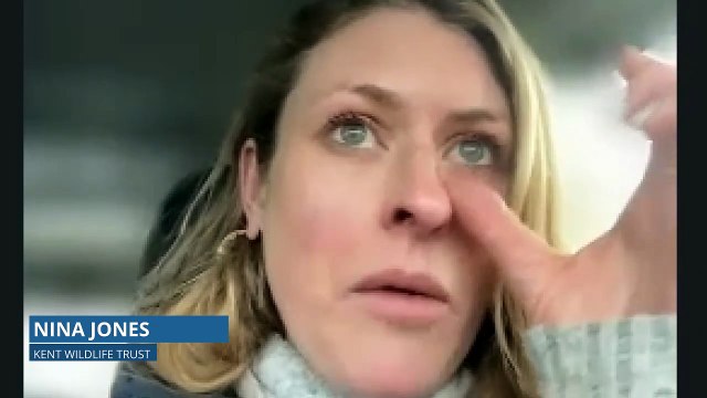 More plastic than ever before has washed up on a beach in Kent this winter