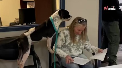 Sie füllt die Adoptionspapiere aus: Das Verhalten des Hundes spricht Bände