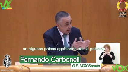 Ángel Pelayo Gordillo. Pleno del Senado. 07.02.2024