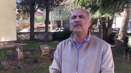 16 milyon yıllık iki ağaç fosili bulundu