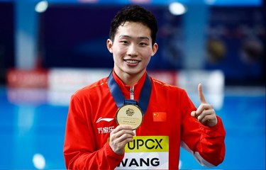 وانغ يحرز ذهبية منافسة الغطس للرجال من منصّة متحرّكة بارتفاع 3 أمتار