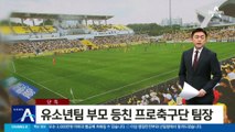 [단독]유소년팀 부모 등친 프로축구단 팀장…2년간 시즌권 대금 ‘꿀꺽’