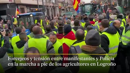 Forcejeos y tensión entre manifestantes y Polícia en la marcha a pie de los agricultores en Logroño