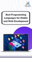 Best Programming Languages for Mobile and Web Development #ProgrammingLanguages #HiddenBrains