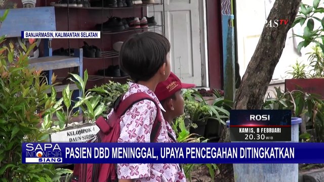 Gawat! Pasien Anak DBD di Banjarmasin Meninggal, Dinkes Tingkatkan Upaya Pencegahan