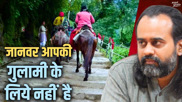 जानवर आपकी गुलामी के लिये नहीं है || आचार्य प्रशांत, केदारनाथ यात्रा पर (2019)