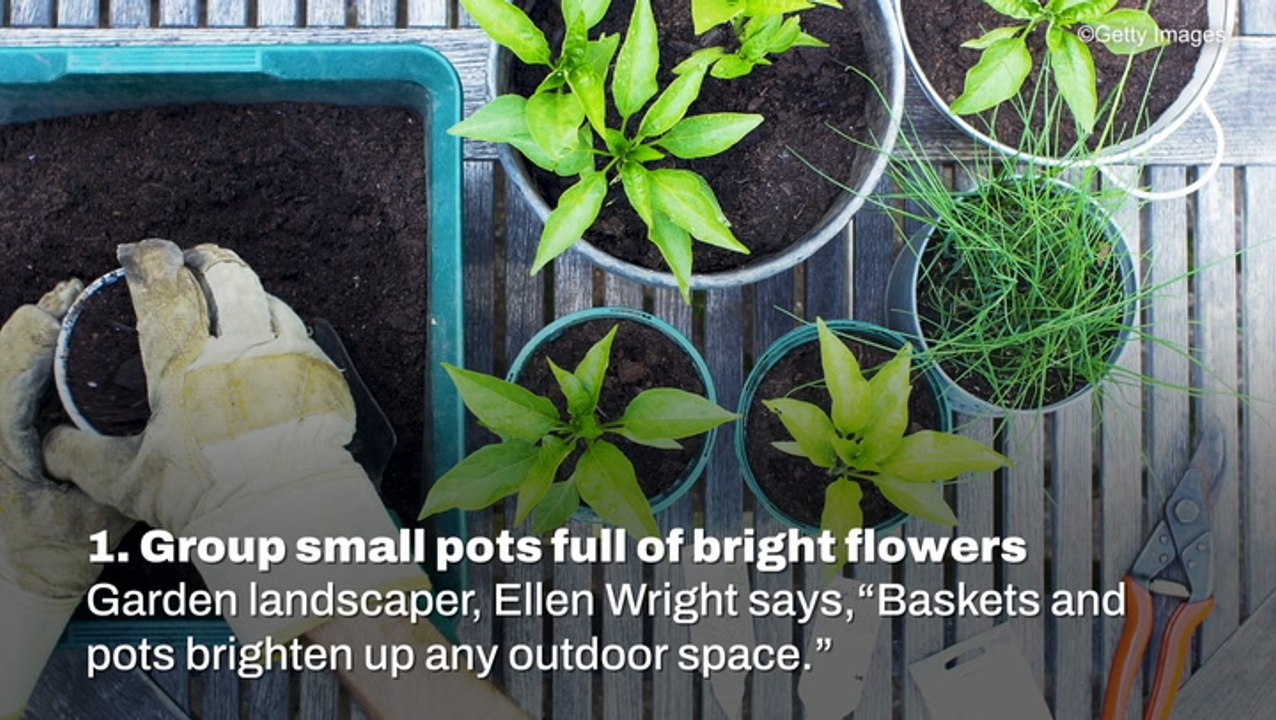 10 Budget Garden Ideas