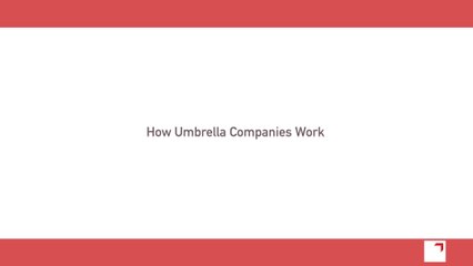 What is an Umbrella Company