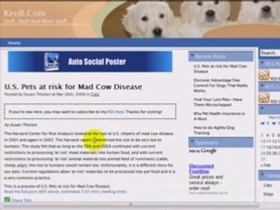 Automated Content Creation