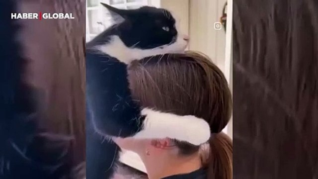 Ağlayan sahibine destek olan kedi izlenme rekoru kırdı ''sıkı sıkı sarıldı''