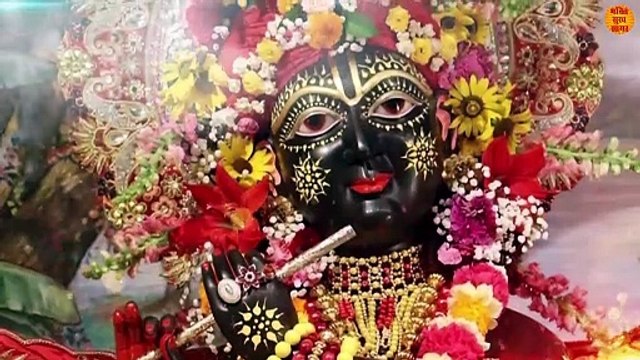 Banke Bihari Darsh Tu De De _ इतनी सी करदे तू मेहरबानी _ Banke Bihari Bhajan _ Krishna Bhajan New