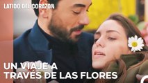 El Amor Te Hace Poner Flores En Un Camión- Latido Del Corazon