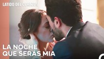 Noche De Reunión De Ali Asaf Y Eylül - Latido Del Corazon