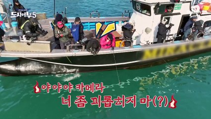 ↖덕화 텐션 UP↗ 못 건지면 밀어버릴 듯한 덕화ㅋㅋ 아슬아슬 문어 사냥 성공??