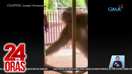 24 Oras Part 3: Bahay na pinasok ng unggoy; paglilinaw ni PBBM sa panawagang ihiwalay ang Mindanao sa Pilipinas; sagot ni Carla sa bashers; apela ni Dominic sa publiko, atbp.