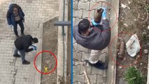Şırnak'ta, site bahçesinde 1'i patlamamış 2 top mermisi bulundu