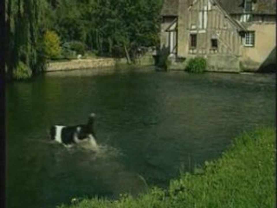Le Terre Neuve