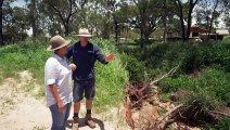 Fruit and vegetable farmers in far north Queensland are rebuilding after tropical Cyclone Jasper