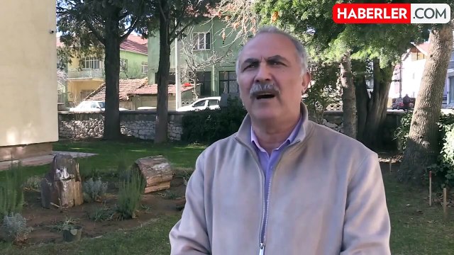 Yol yapımı sırasında bulunan 10-16 milyon yıllık ağaç fosilleri koruma altına alındı