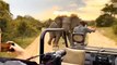Crazy Elephant Rushed Out to Attack Cars and Tourists Right on the Edge of Abyss- Miracles Happened