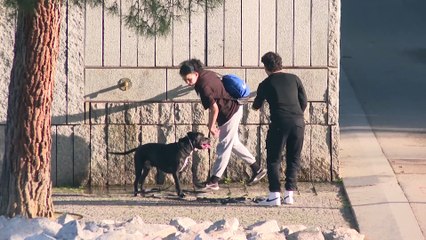 Enero récord de calor mundial, 1,66 grados sobre nivel preindustrial