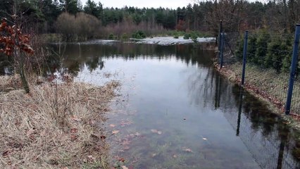 Trzebinia - zalewane działki w okolicach osiedla Siersza