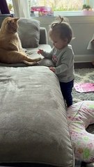 Girl Nibbles Cat's Toe Beans