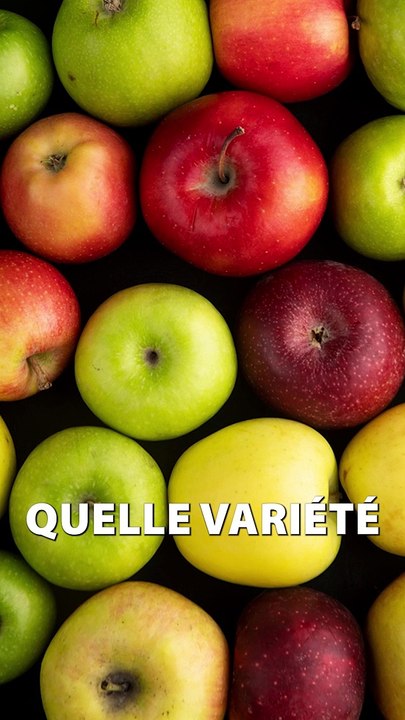 Planter un PÉPIN DE POMME c'est CRÉER UNE NOUVELLE VARIÉTÉ qui n'a jamais EXISTÉ !