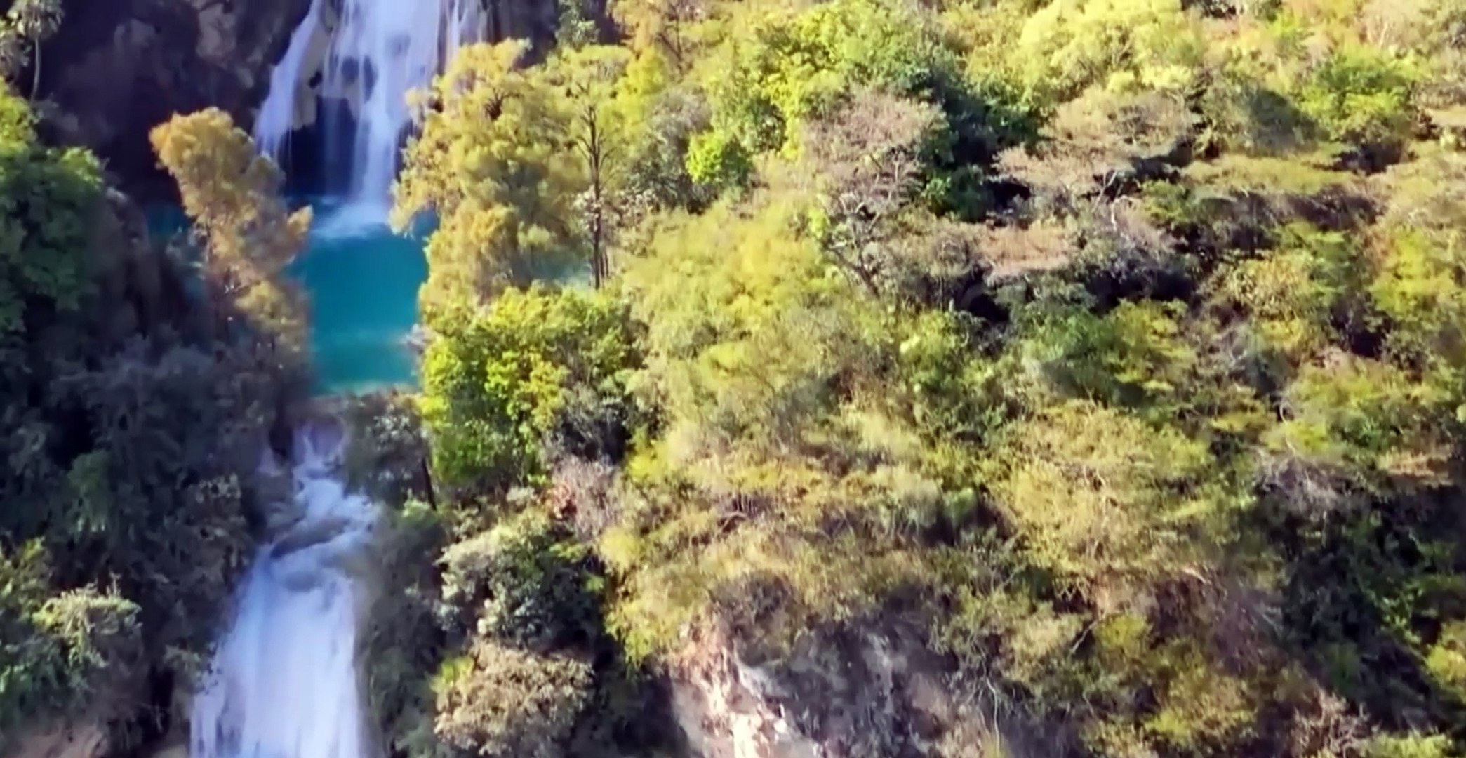 ⁣Natural waterfall sounds of birds and storks 4K - Beautiful Relaxing Music