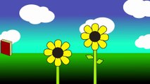 Plantas vs libros | Animación 2D